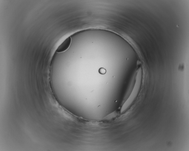 X0000112430956200909041433