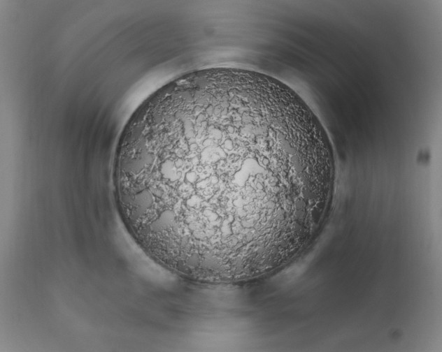 X0000112430957200909041433