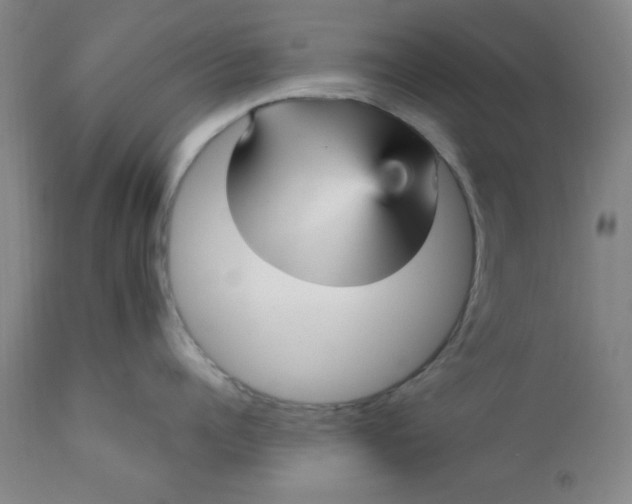 X0000112430960200909041433