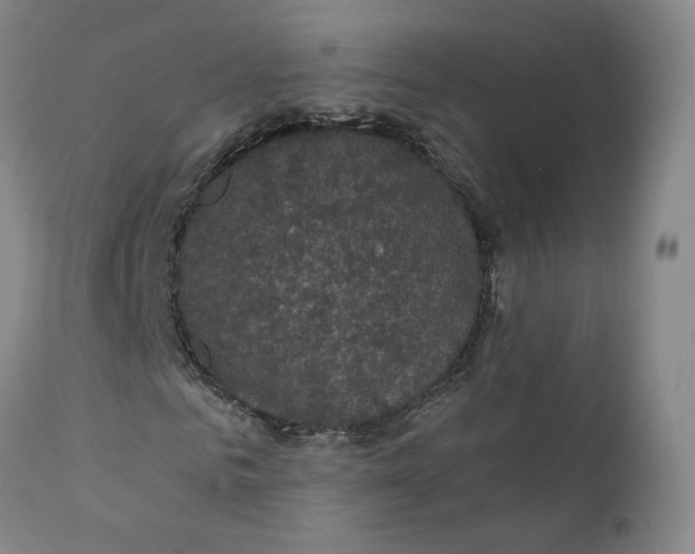 X0000112430961200909041432