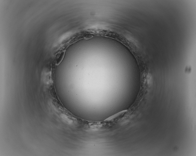 X0000112430965200909041432