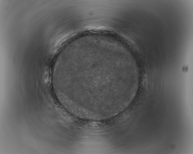 X0000112430966200909041432