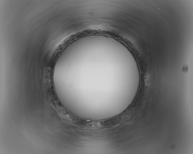 X0000112430968200909041432