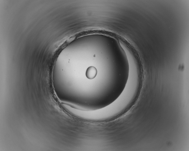 X0000112430969200909041432