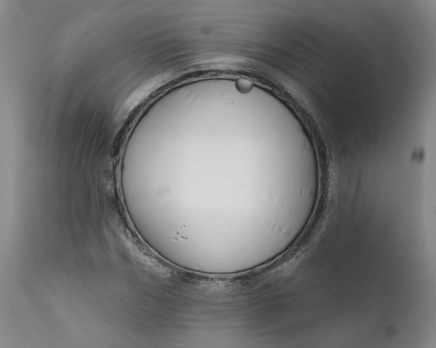 X0000112430970200909041432