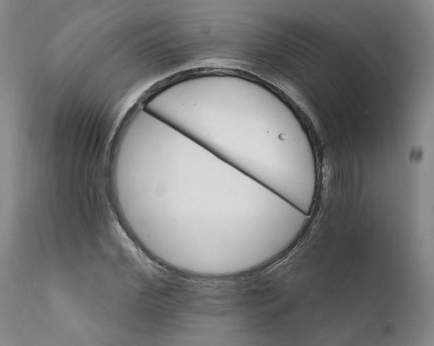 X0000112430972200909041432