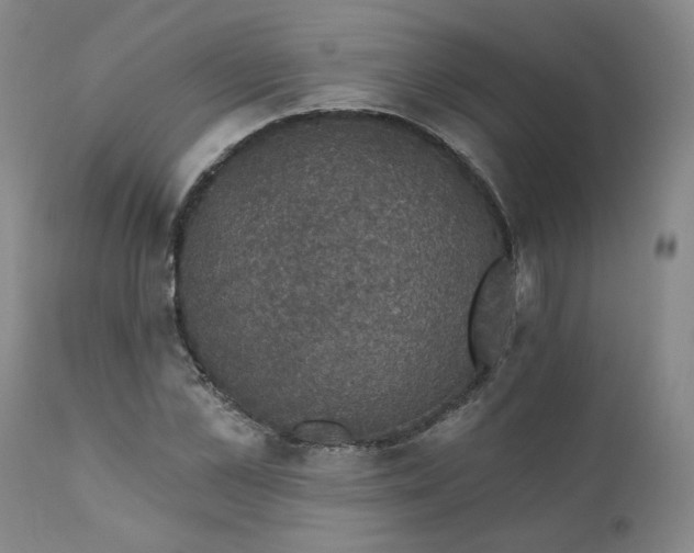 X0000112430973200909041432