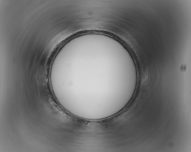 X0000112430974200909041432