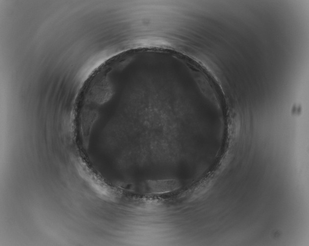 X0000112430975200909041432