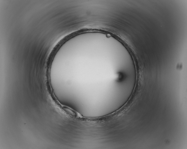 X0000112430976200909041432