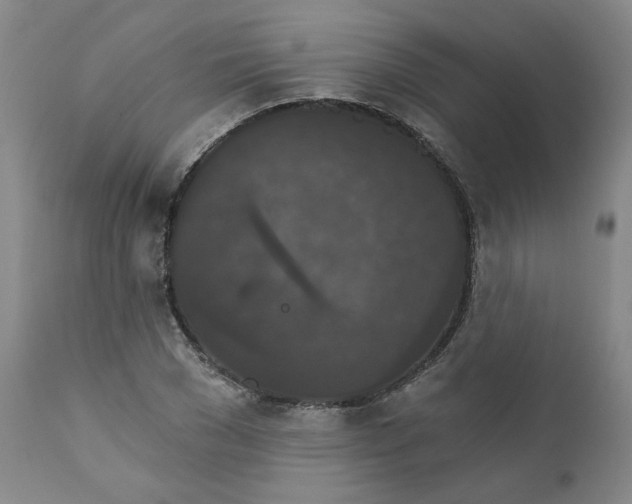 X0000112430977200909041432