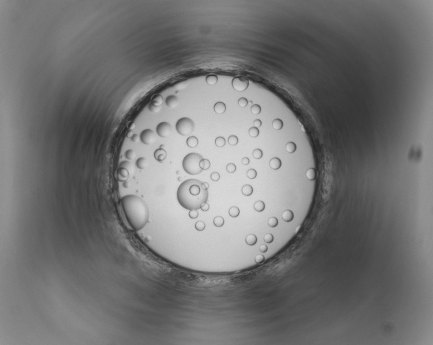 X0000112430978200909041432