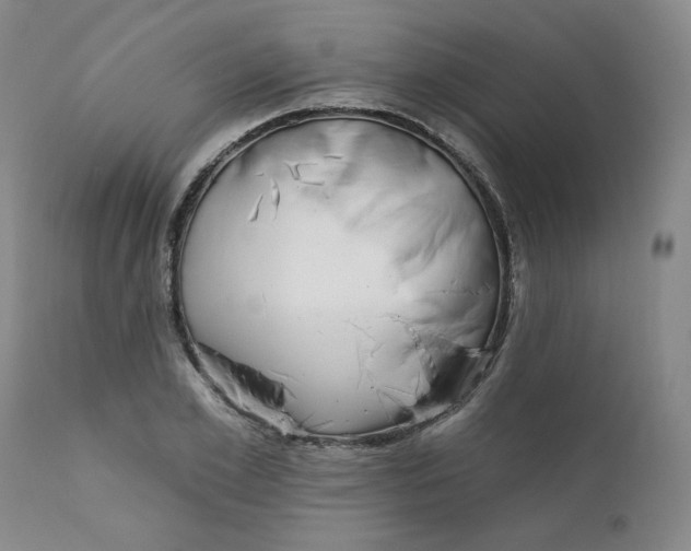 X0000112430981200909041432