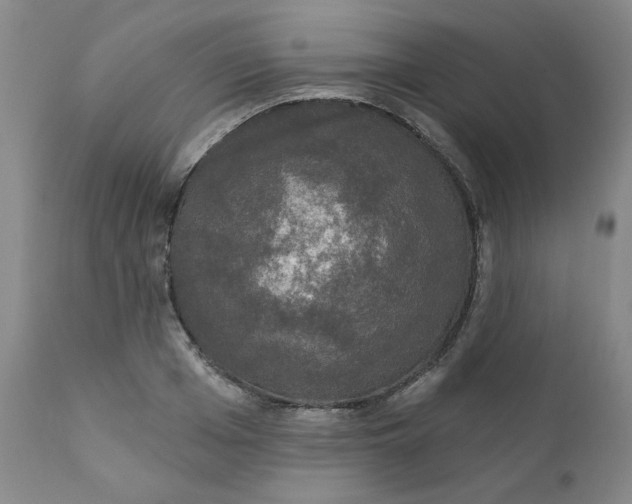 X0000112430985200909041432