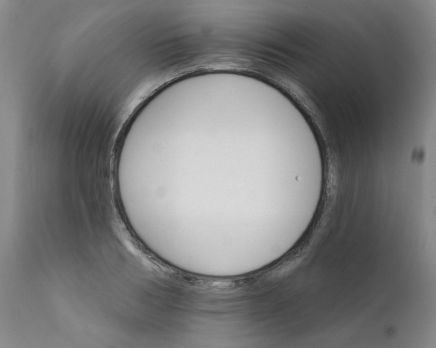 X0000112430986200909041432