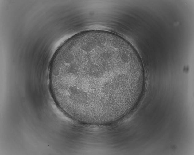 X0000112430987200909041432