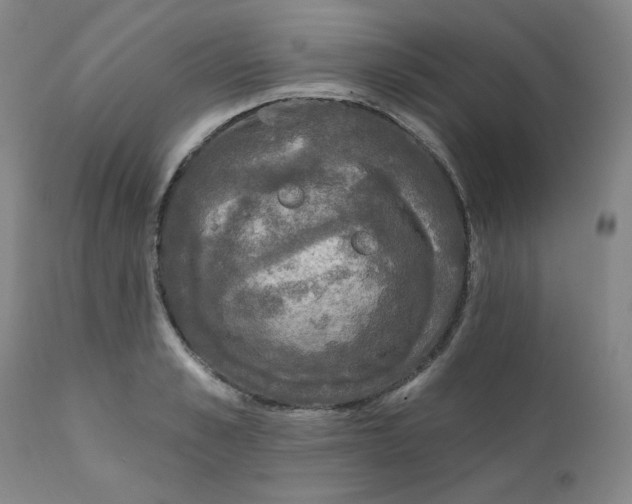 X0000112430989200909041432