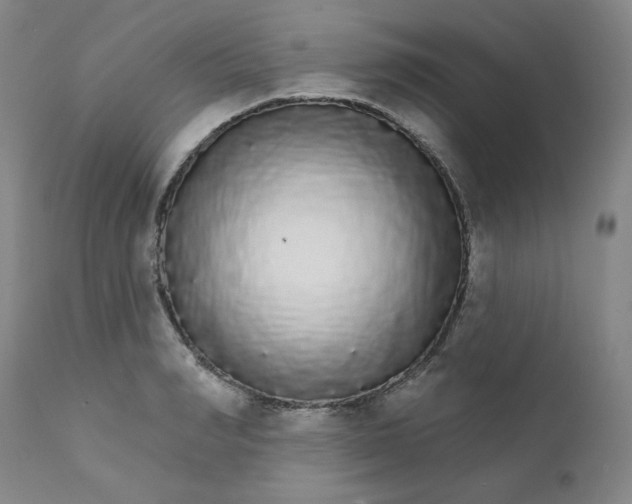 X0000112430990200909041432