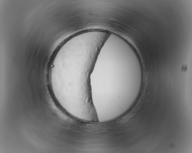 X0000112430991200909041432