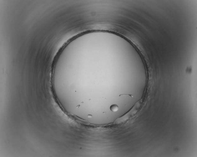 X0000112430992200909041432