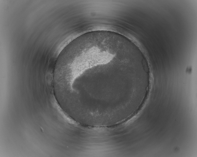 X0000112430993200909041432