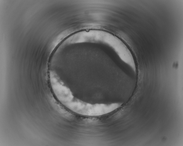 X0000112430994200909041431