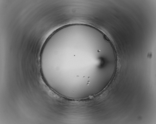 X0000112430996200909041431