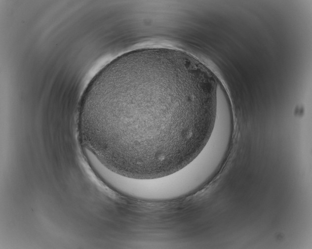 X0000112430997200909041431