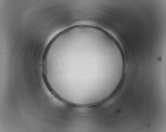 X0000112430999200909041431