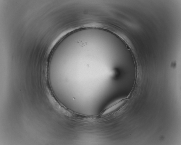 X0000112431000200909041431