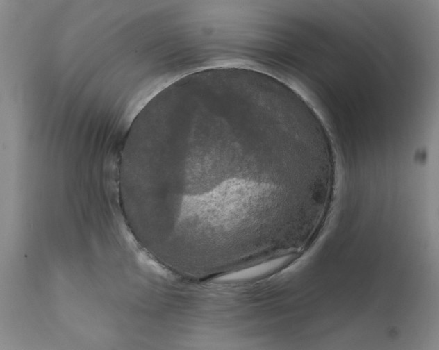 X0000112431001200909041431