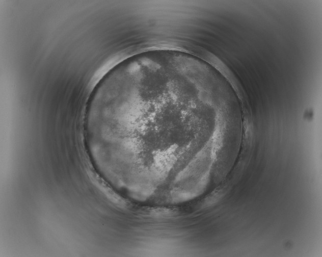 X0000112431002200909041431