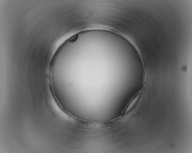 X0000112431003200909041431