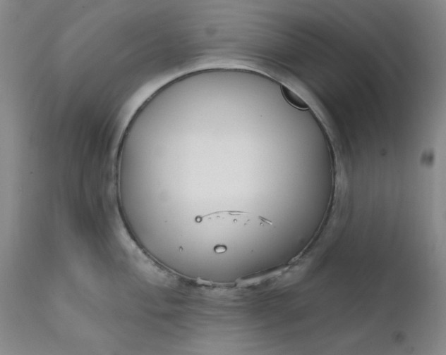 X0000112431004200909041431