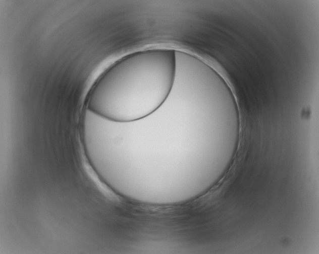 X0000112431005200909041431