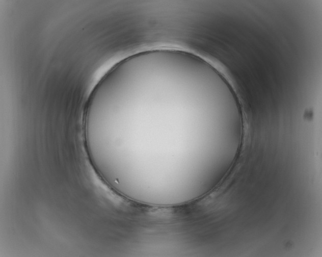 X0000112431006200909041431