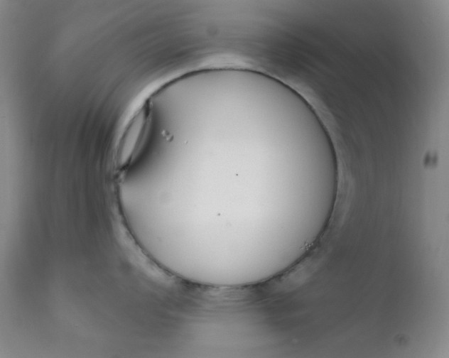 X0000112431008200909041431