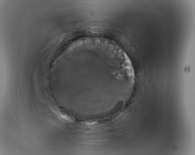 X0000112431009200909041431