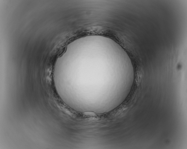 X0000112431010200909041431