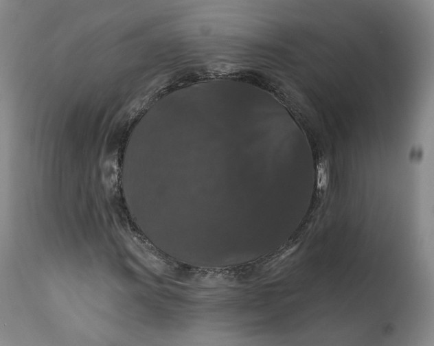 X0000112431011200909041431