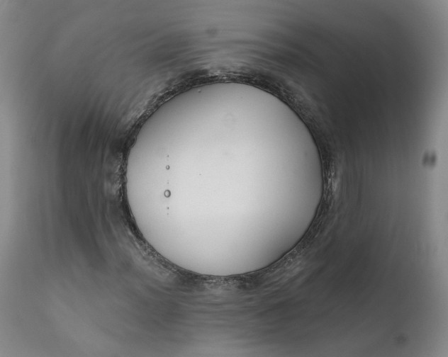 X0000112431012200909041431