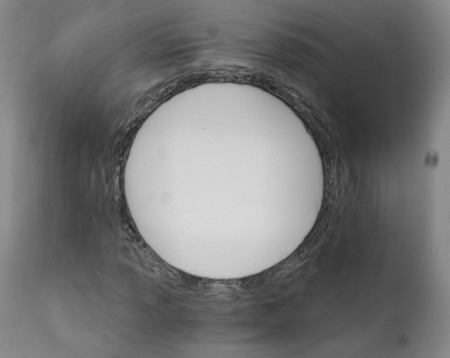 X0000112431013200909041431