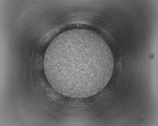 X0000112431014200909041431