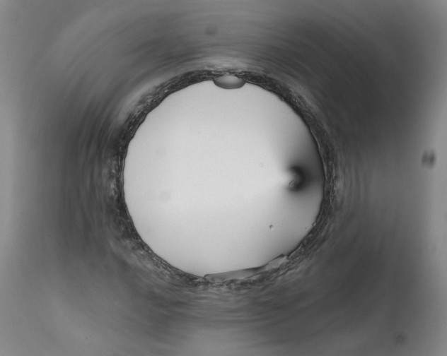 X0000112431016200909041431