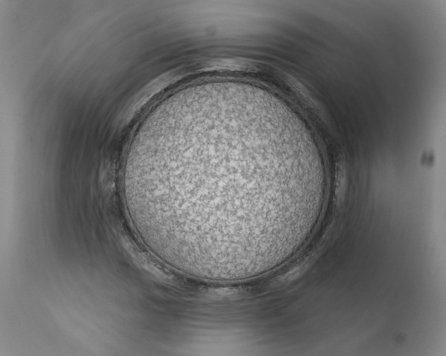 X0000112431017200909041431