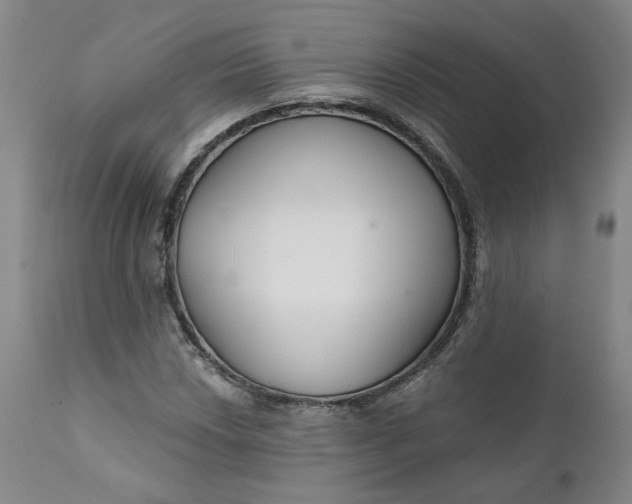 X0000112431018200909041431