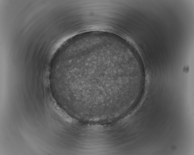 X0000112431019200909041431