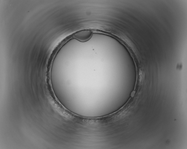 X0000112431020200909041431