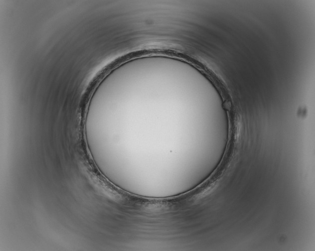 X0000112431021200909041431