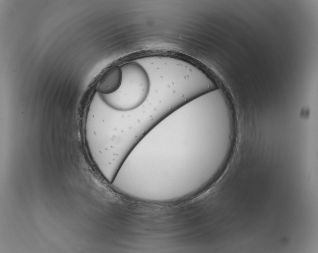 X0000112431022200909041431